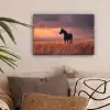 Paard - Wolken - Open veld canvas 2cm klein -sfeer1