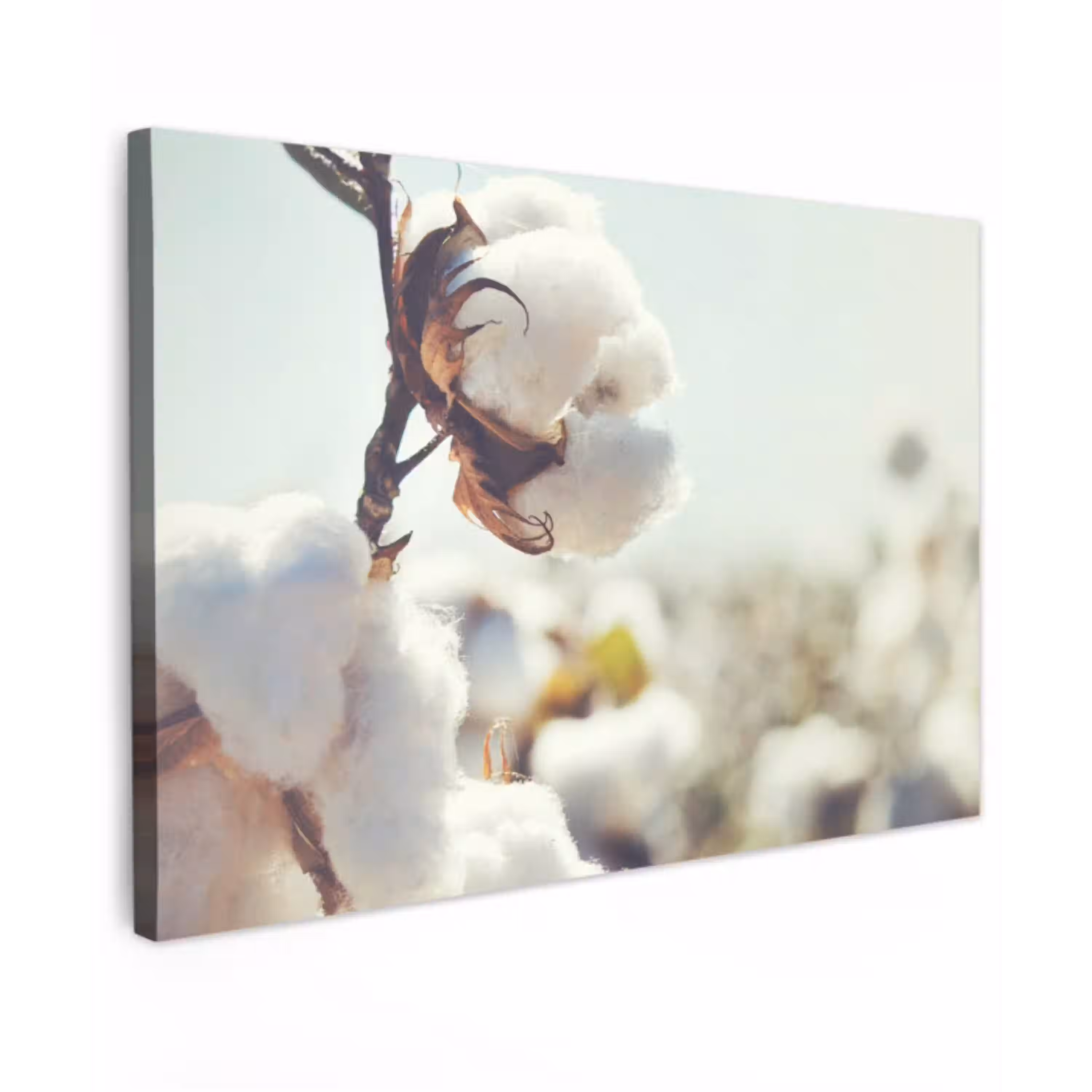 Planten - Bloem - Tak - Natuur Tuinposter op houten frame 2 cm dik klein -3d