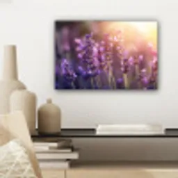 Lavendelbloemen - Paars - Zonlicht canvas 2cm klein -sfeer6