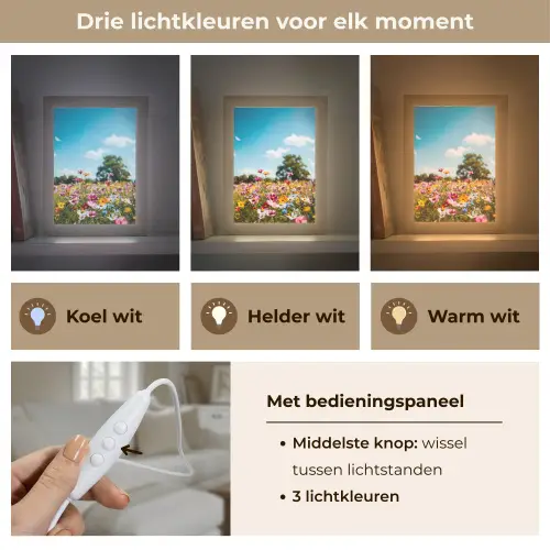 Bloemenweide - Blauw - Lucht - Kleuren Light Box met kabel (Tafellamp) klein -USP_lichtkleurNL