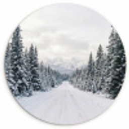 Weg - Sneeuw - Naaldbos - Winter - Avontuurlijk Wandcirkel kunststof plaat 5mm dik klein -3d