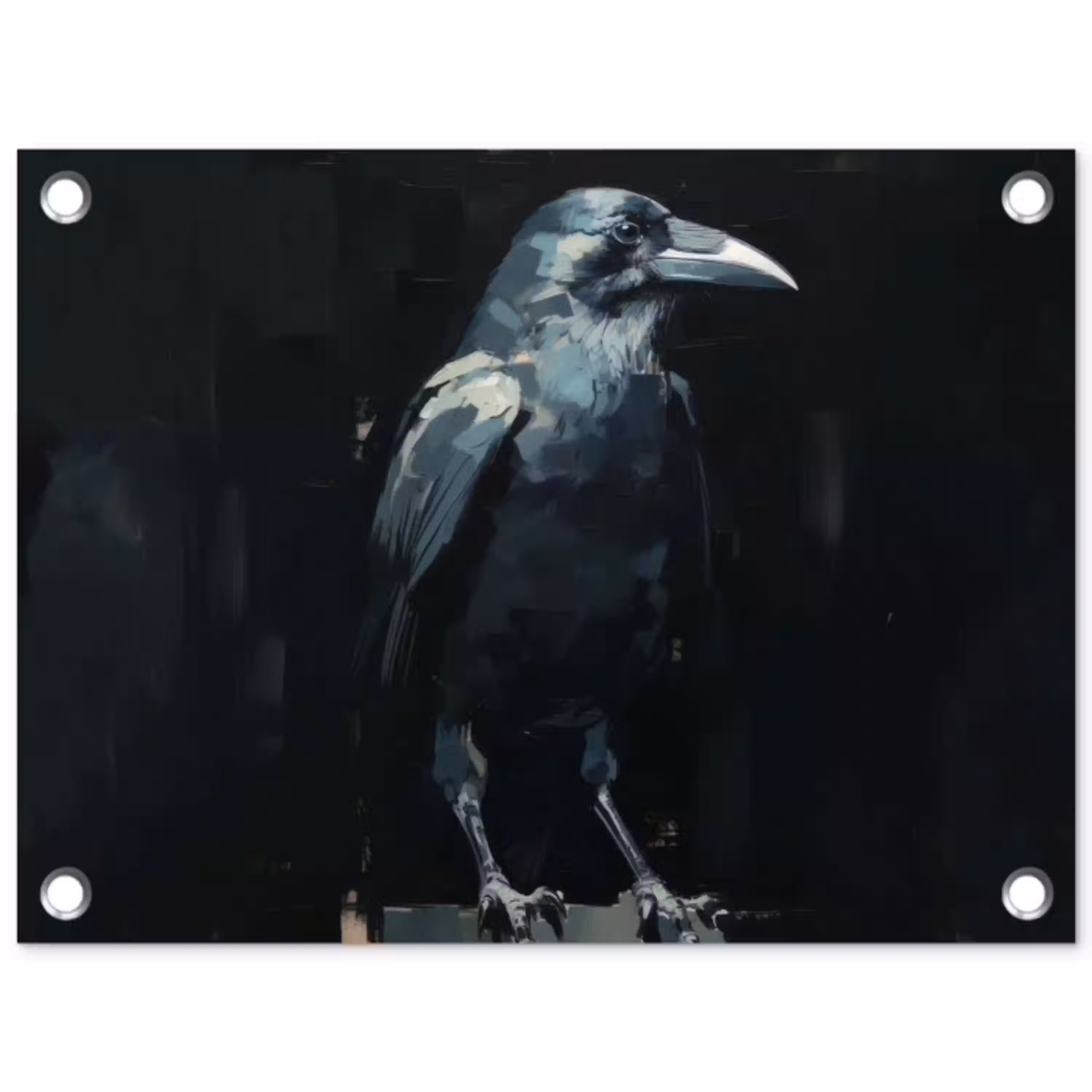 Raaf - Vogels - Zwart tuinposter los doek klein -3d