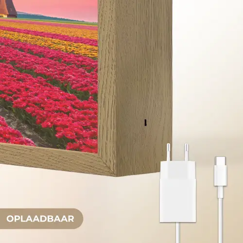 Bloemen - Tulpen - Bloemenveld - Molens - Holland Light Box met batterij (Wandlamp) middel -USP_websiteoplaadbaarNL