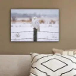 Sneeuwuil - Hek - Sneeuw - Wit canvas 2cm klein -sfeer3