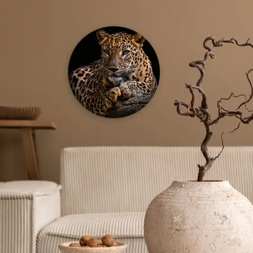 Wilde dieren - Panter - Portret - Zwart - Dieren Wandcirkel kunststof plaat 5mm dik klein -sfeer1