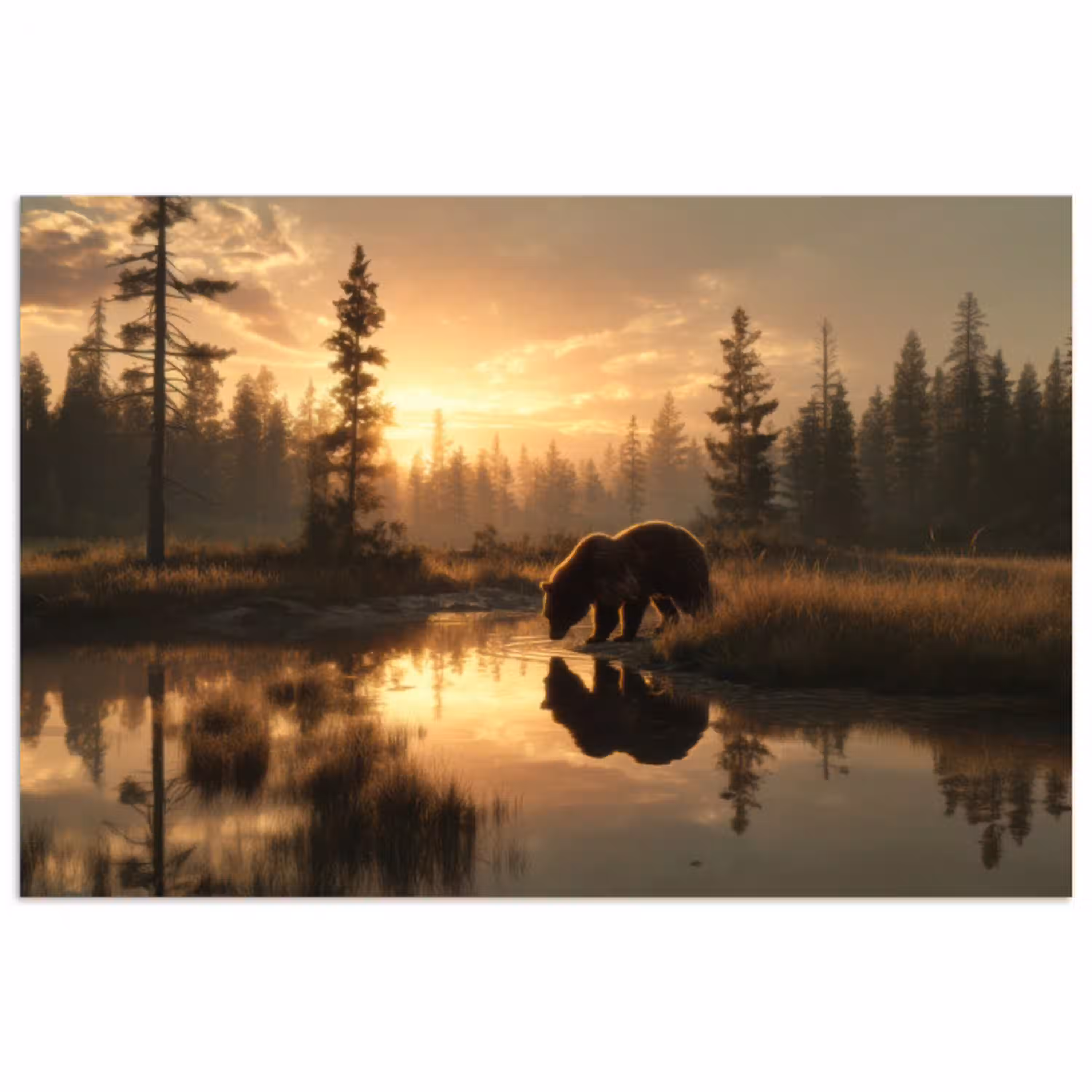 Beer - water - Bos - Ochtendlicht poster papier klein -3d
