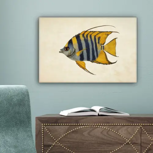 Vis - Sierlijk - Vinnen - Illustratie canvas 2cm klein -sfeer4