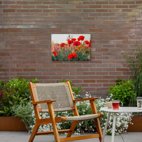 Rode klaprozen in de avondzon Tuinposter op houten frame 2 cm dik klein -sfeer3