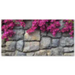 Bougainvillea - Stenen Muur - Roze Balkonbeschermer Duitsland klein -zz_3d