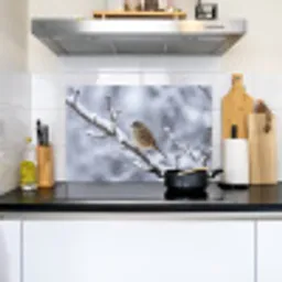 Vogel - Tak - Sneeuw - Winter Inductie beschemer met haakjes klein -sfeer2