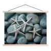 Zeesterren - Stenen - Wit textielposter latten blank klein -3d