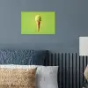 Hoorntje - Schepijs - Groen poster papier klein -sfeer2