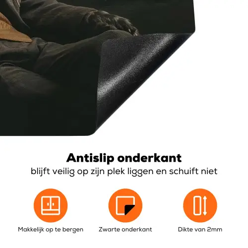Kat - Pak - Oranje - Sigaar Inductie beschermer vinyl 3mm klein -zzzzzzz-td-onderkant