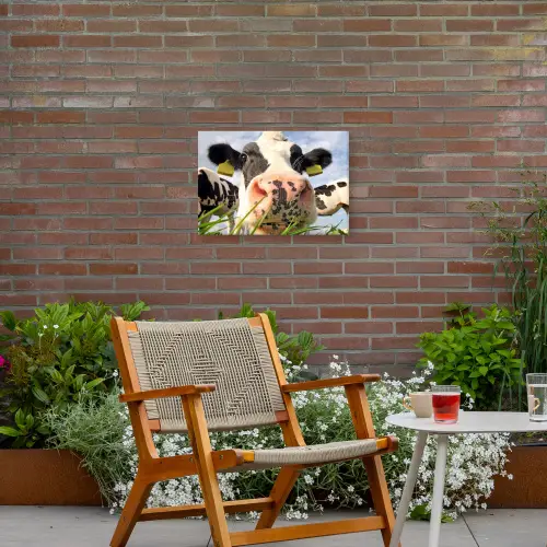 Koe - Boerderij - Gras - Dieren Tuinposter op houten frame 2 cm dik klein -sfeer3