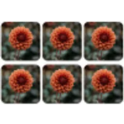 Dahlia - Bloem - Natuur - Sfeervol onderzetter kurk middel -zkaufland3dotto
