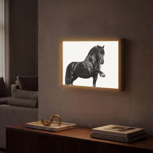 Fries - Hengst - Modern Light Box met batterij (Wandlamp) middel -sfeer1