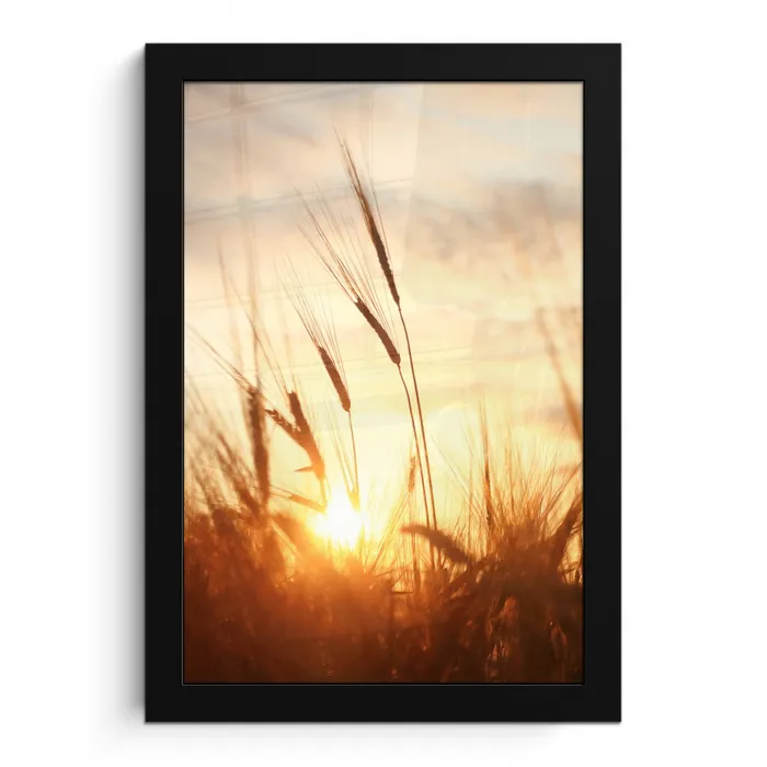 Riet - Gras - Zonsondergang - Natuur - Horizon fotolijst zwart zonder passe partout klein -3d