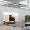 Schotse hooglander - Dieren - Landelijk - Landschap - Koe - Natuur keuken achterwand spatscherm klein -3d_schuin
