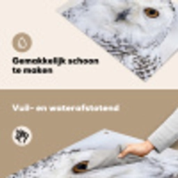 Sneeuwuil - Oog - Wildlife - Wit Inductie beschemer met haakjes klein -ky-schoon-nl