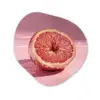 Grapefruit - Roze - Disco - Shiny Wandcirkel Organisch Plexiglas middel -3d