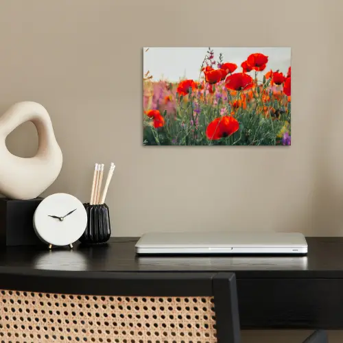 Klaproos - Bloemen - Rood - Paars - Weide poster papier klein -sfeer1