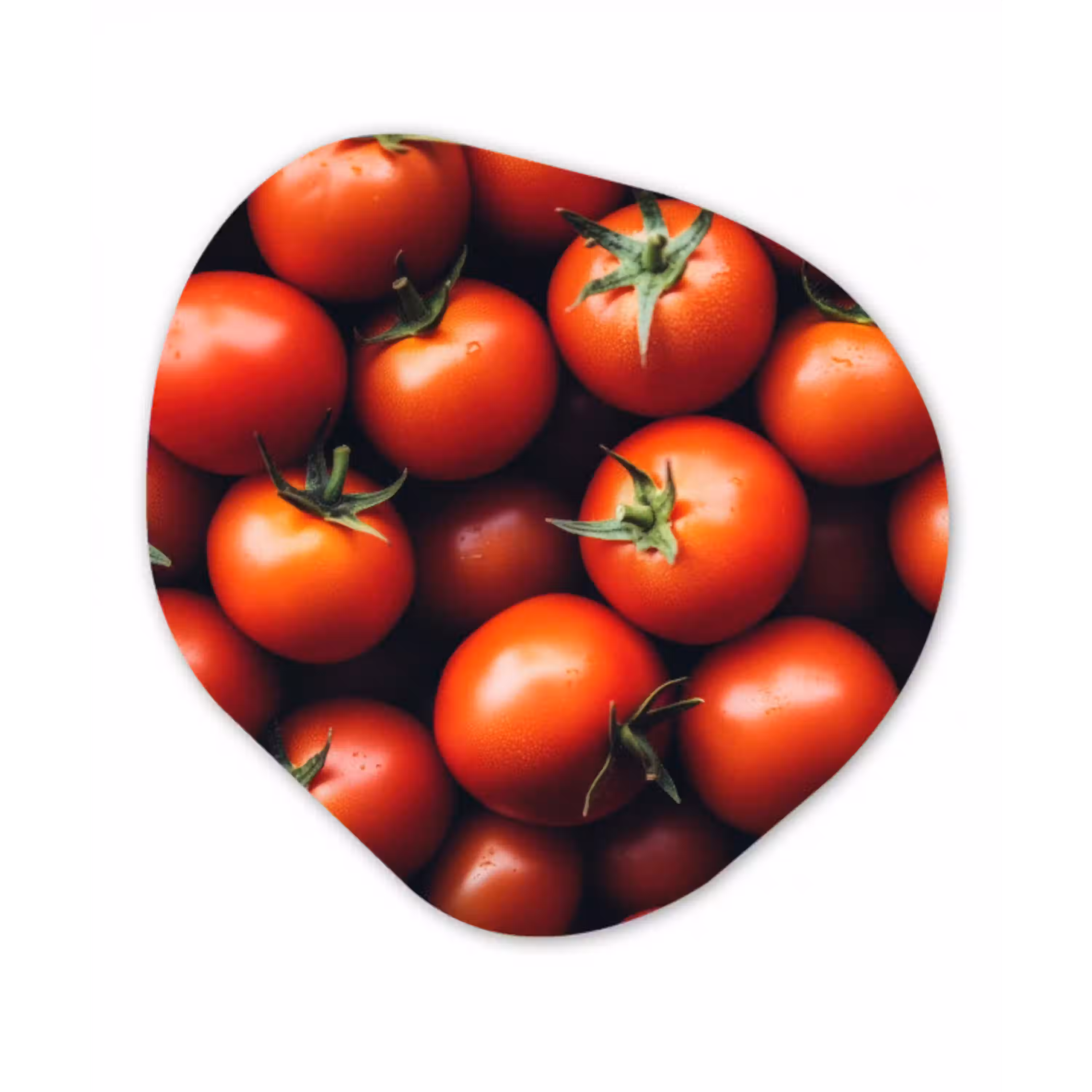 Groente - Rood - Tomaten Wandcirkel Organisch Plexiglas middel -3d