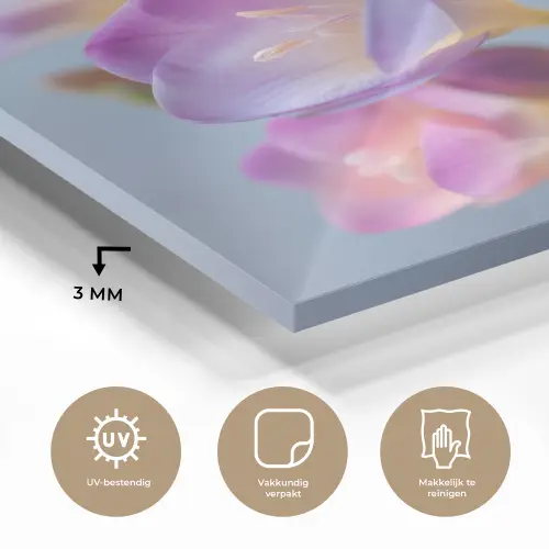 Bloemen - Paars - Overloop - Meeldraden plexiglas 5mm klein -sfeer2