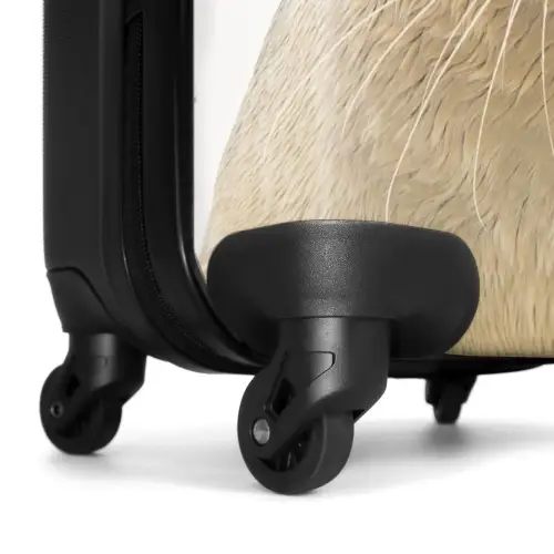 Zyon Zeehond Koffer - NBS - Handbagage middel -wiel