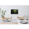 Bloem - Narcis - Gras - Geel Muursticker klein -eettafel