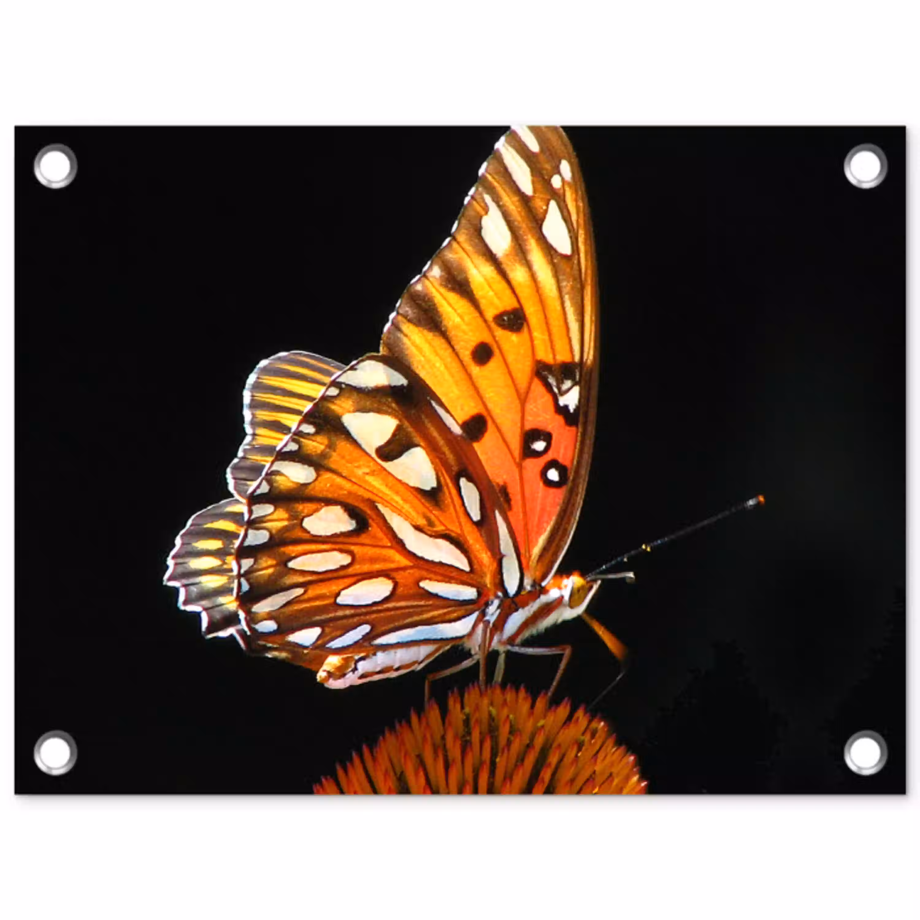 Vlinder op bloem tuinposter los doek klein -3d