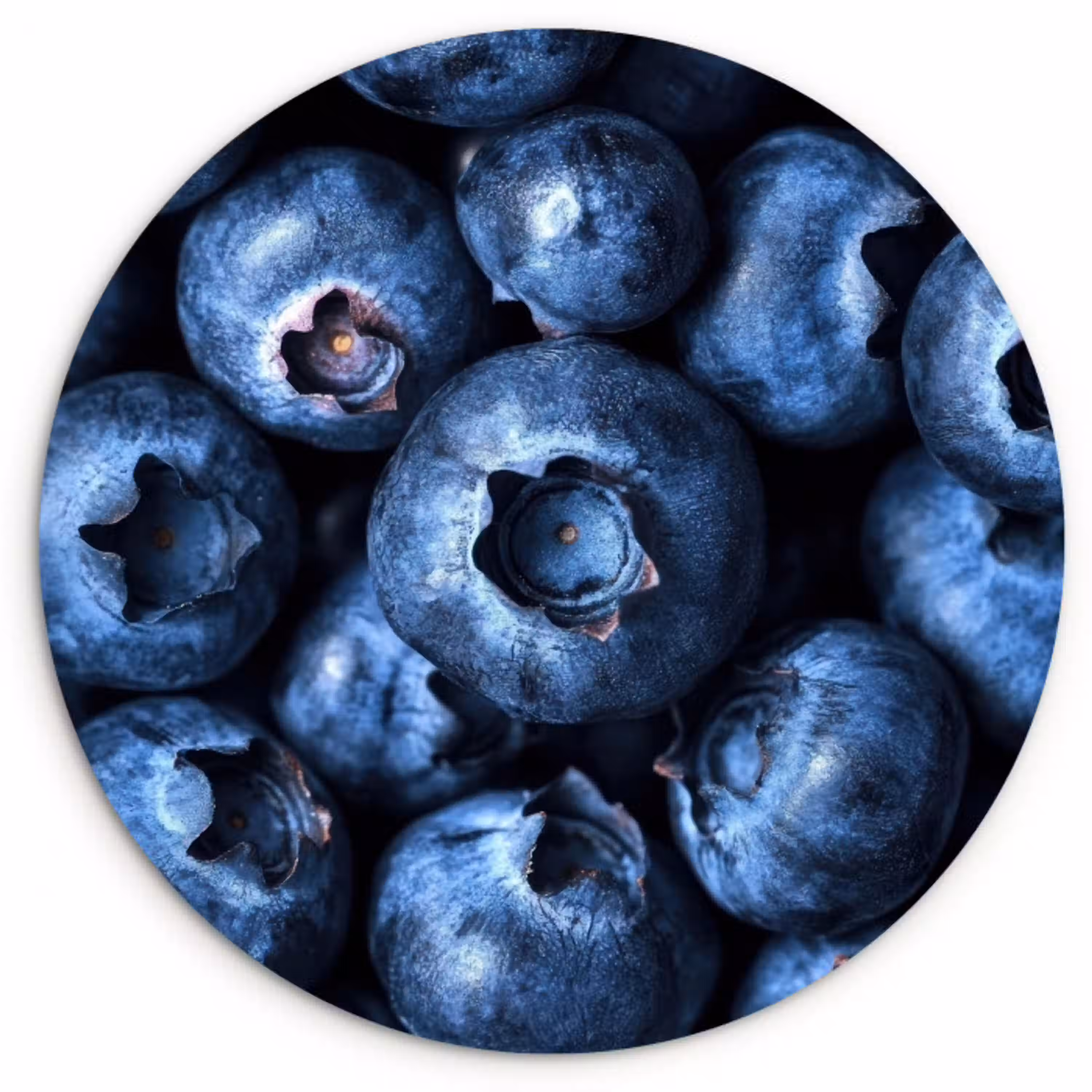 Bessen - Blauw - Fruit Wandcirkel plexiglas klein -3d
