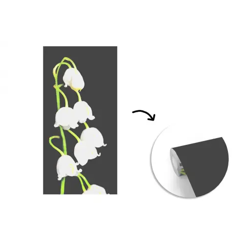 Lelietjes van dalen - Bloemen - Zwart - Flora fotobehang vinyl groot -3d