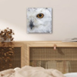 Sneeuwuil - Oog - Wildlife - Wit plexiglas 5mm klein -sfeer4