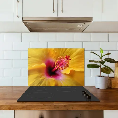 Geel - Hibiscus - Tropisch keuken achterwand spatscherm klein -sfeer2