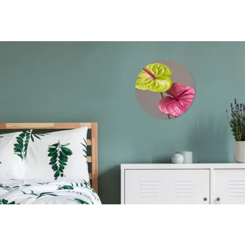 Planten - Anthurium - Groen - Roze Wandcirkel aluminium klein -slaapkamer