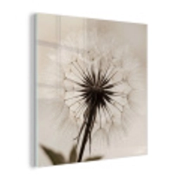Paardenbloem - Minimalistisch - Wit plexiglas 5mm klein -z3d