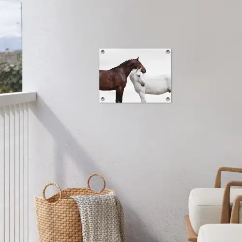 Paard - Modern - Balans tuinposter los doek klein -sfeer8
