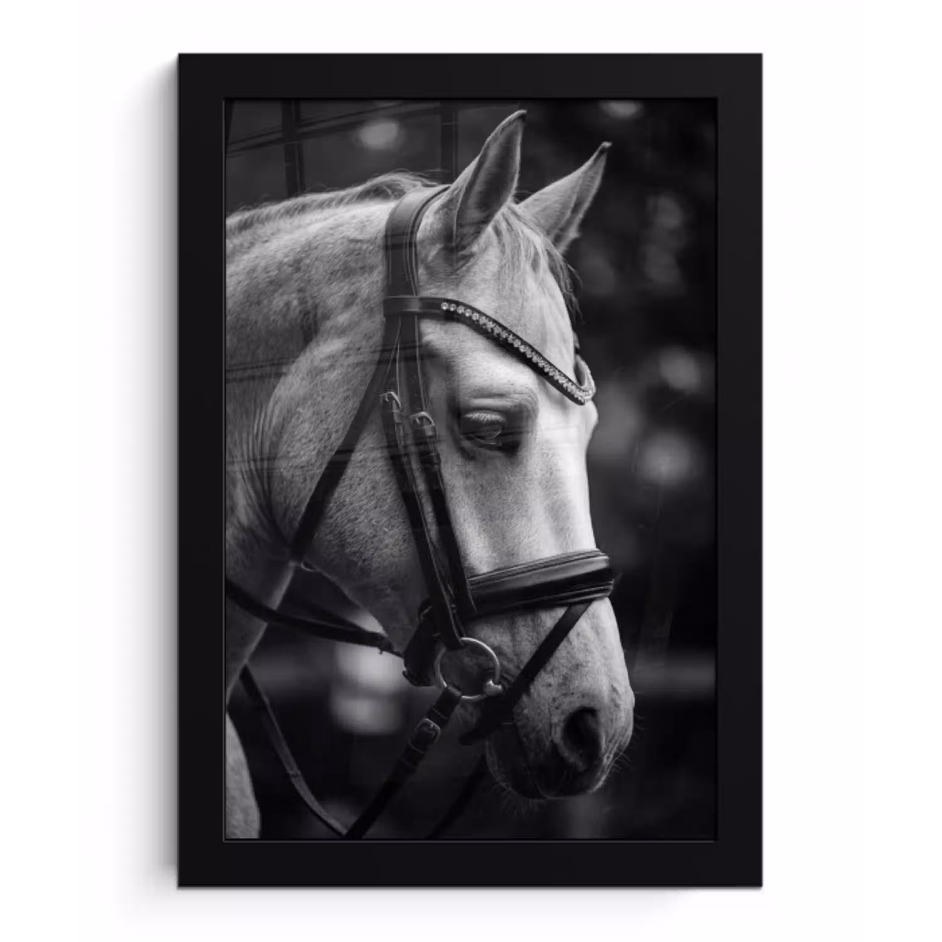 Paard - Schimmel - Portret fotolijst zwart zonder passe partout klein -3d