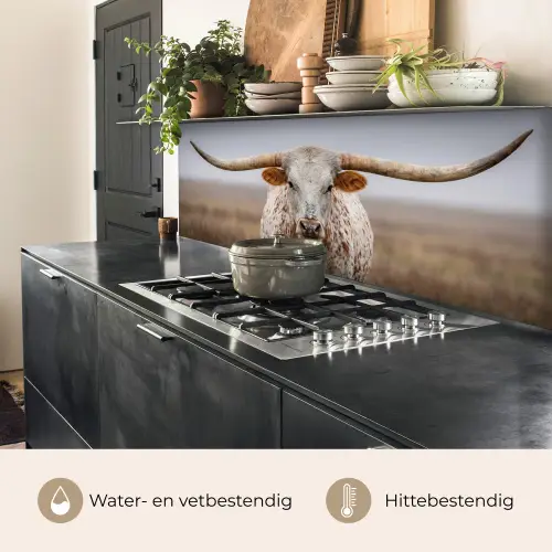 Longhorn - Grasveld - Dier keuken achterwand 2 middel -usp_NL