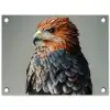 Vogel - Realistisch - Veren - Bruin tuinposter los doek klein -3d