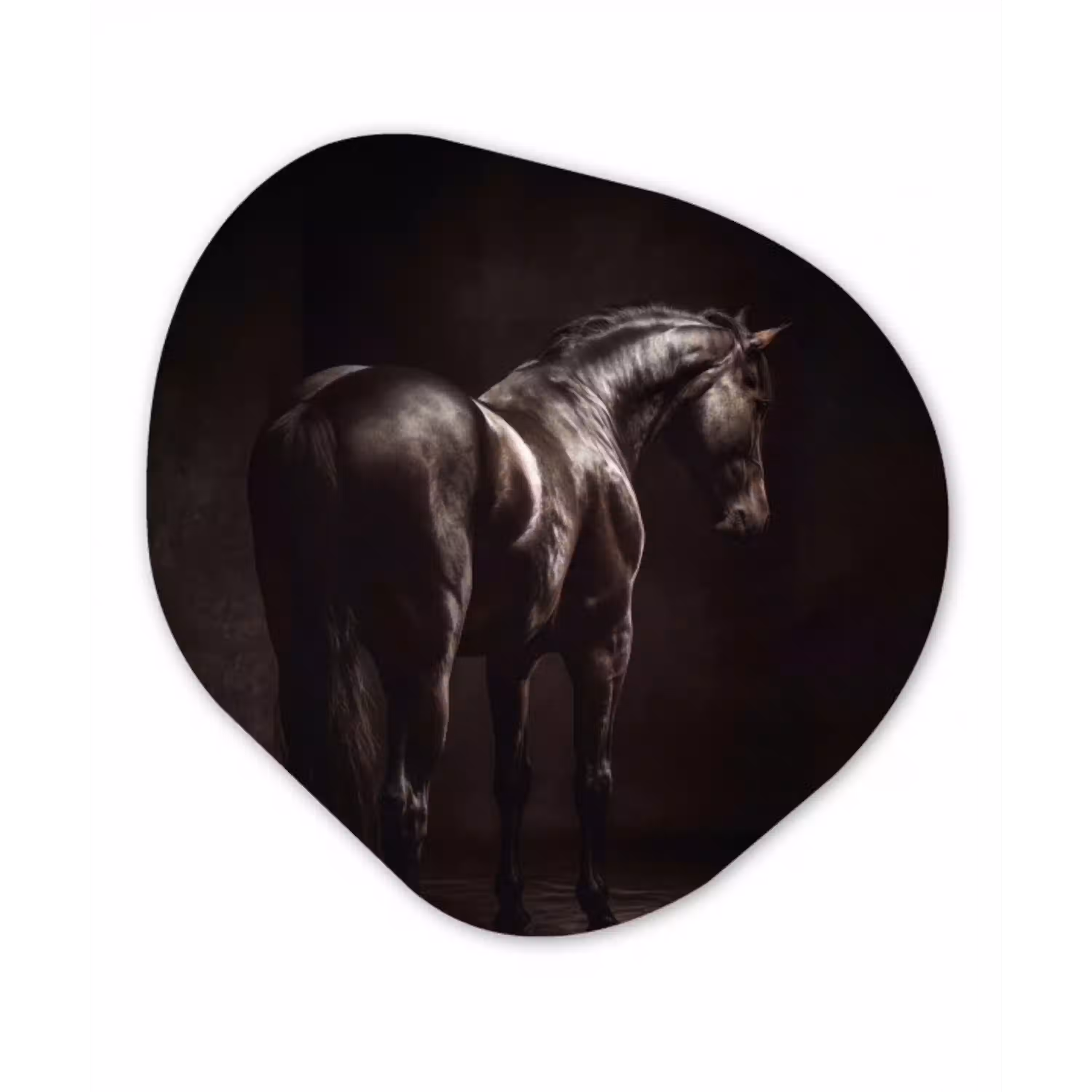 Krachtig - Paard - Donker Wandcirkel Organisch Forex 3mm klein -3d