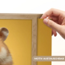 Hamster - Nootje - Geel - Knaagdier Light Box met batterij (Wandlamp kind) middel -USP_websiteprintDE