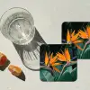 Paradijsvogel - Bloem - Exotisch onderzetter kurk middel -sfeer4