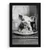 Varken - Schattig - Spaghetti - Zwart wit - Dier fotolijst zwart zonder passe partout klein -3d