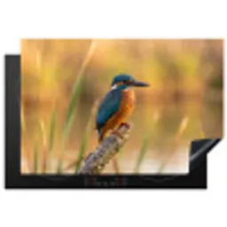 IJsvogel - Tak - Water - Kleurrijk - Levendig Inductie beschermer vinyl 3mm klein -3d