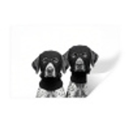 Honden - Bivakmuts - Zwart - wit Muursticker klein -3d
