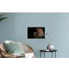 Wilde dieren - Panter - Portret - Zwart - Dieren Muursticker klein -plant