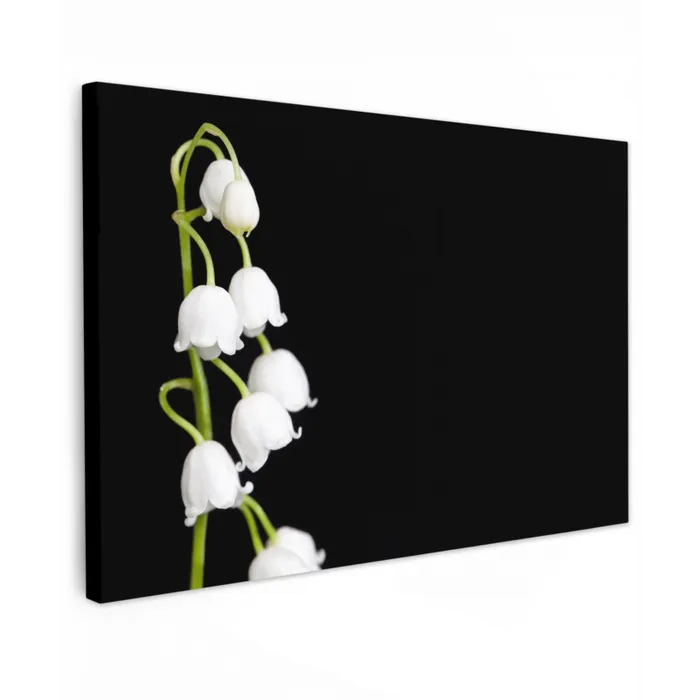 Lelietjes van dalen - Bloemen - Zwart - Flora Tuinposter op houten frame 2 cm dik klein -3d