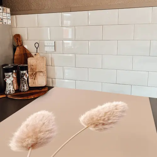 Pampas pluimen - Beige - Planten Inductie beschermer vinyl 3mm middel -sfeer3