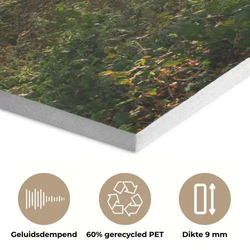 Bos - Bomen - Pad - Zon - Planten - Bladeren - Natuur PET vilt klein -closeup_NL